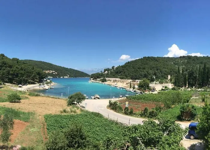 Curri * 普契什查